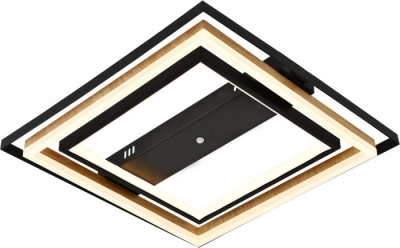 Потолочная люстра Lagom 10249/2LED