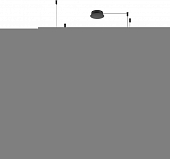 Подвесной светильник Jardin 10121/4 Dark grey 