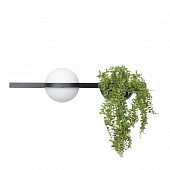 Настенный светильник Jardin 10121W/A 