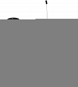 Подвесной светильник  AM438 BK 