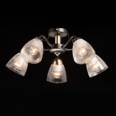 Потолочная люстра Альфа 324019505