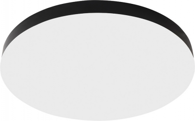 Потолочный светильник  48888