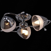 Потолочная люстра  32283-0.3-03 