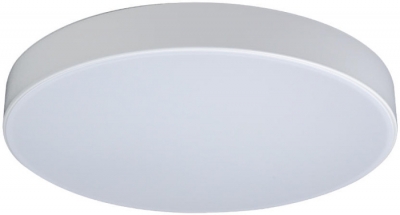 Потолочный светильник Axel 10002/24 White