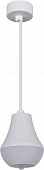 Подвесной светильник  16007-0.9-001IL E27 WT 