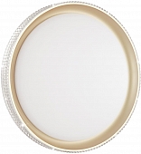 Настенно-потолочный светильник Shiny 3054/DL 