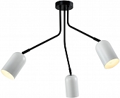 Потолочная люстра Rosalinda 3167-303 