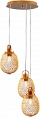 Подвесной светильник Campo V11348-3P 