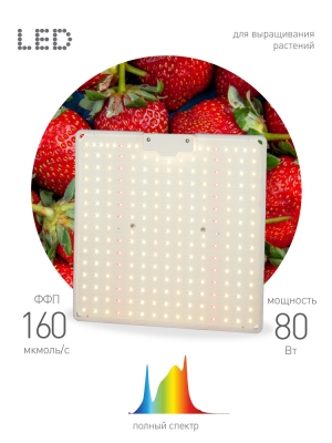 Светильник для растений  FITO-80W-LED-QB
