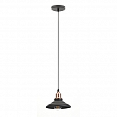 Подвесной светильник  PL4 BK/RC 