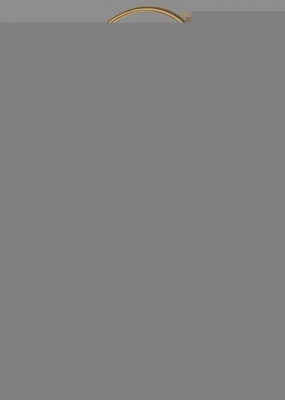 Интерьерная настольная лампа  F0224-13