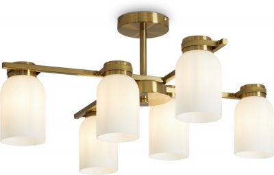 Потолочная люстра Kamelia FR5446PL-06BS