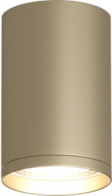 Точечный светильник TUBE DK2050-SG