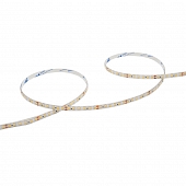 Светодиодная лента  WLS2835-12W/6500/24S120-01 