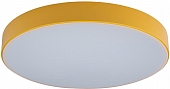 Потолочный светильник Axel 10002/24 Yellow 