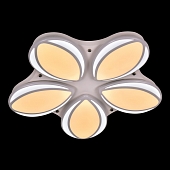 Потолочный светильник  1012 