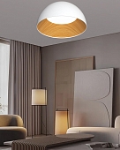 Потолочный светильник  F0724-12 