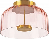 Потолочный светильник Celesta 809062 