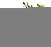 Искусственные растения  8J-18B003 