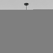 Подвесной светильник Gem 50261/1 серый  Подвесной светильник Gem 50261/1 серый