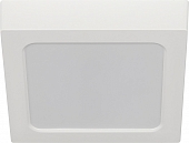 Точечный светильник  LED 20-18-4K 