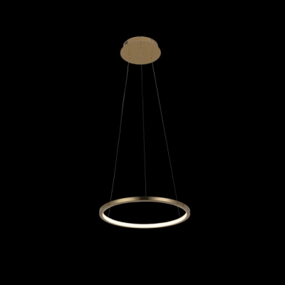 Подвесной светильник Ring 10014S