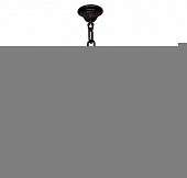 Уличный светильник подвесной Anna E22.120.S30.AXE27 