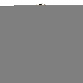 Подвесная люстра Oleo SL1121.103.05 