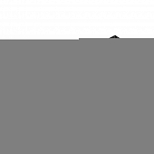 Настенно-потолочный светильник LINE 056356 