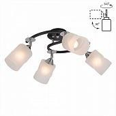 Потолочная люстра Сиерра CL119241 