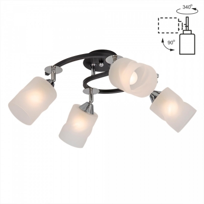 Потолочная люстра Сиерра CL119241