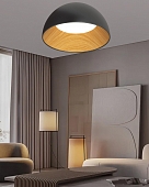 Потолочный светильник  F0724-13 