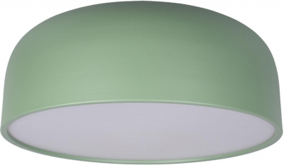 Потолочный светильник Axel 10201/480 Green