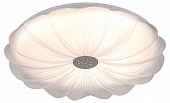 Потолочный светильник  SPB-6 Muze 48W-5K WH+CH 