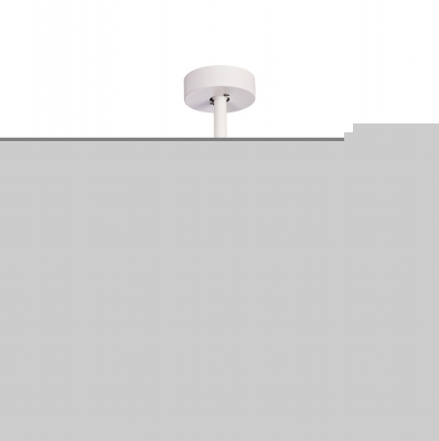 Потолочная люстра Coin 8220