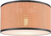 Потолочный светильник  568-707-01 
