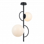 Потолочная люстра Vine 2138/02/02P 