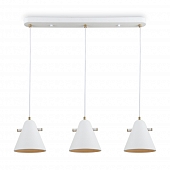 Подвесной светильник Cozy FR5211PL-03W 