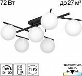 Потолочная люстра Dorsy CL223162 