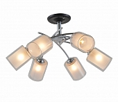Потолочная люстра Оптима 1170/6P 