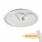 Потолочный светильник Focus MR9050-CL 