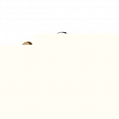 Бра 1080 1080-LED12WL 