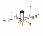 Потолочная люстра Рия 07621-12,20 