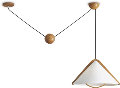 Подвесной светильник Umbra FR5554CL-01T