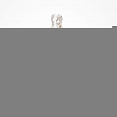 Настенный светильник Selemo MOD328WL-L5CH3K 