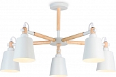 Потолочная люстра Traditional TR82208 