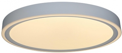 Потолочный светильник Bella ZRS.1200.07