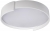 Потолочный светильник Coin 10200 White