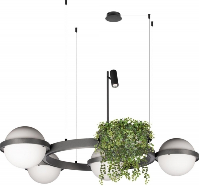 Подвесной светильник Jardin 10121/4 Dark grey