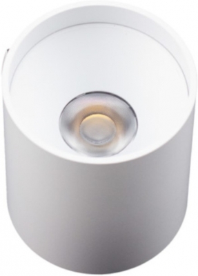 Точечный светильник  AM481 WH+WH 10W